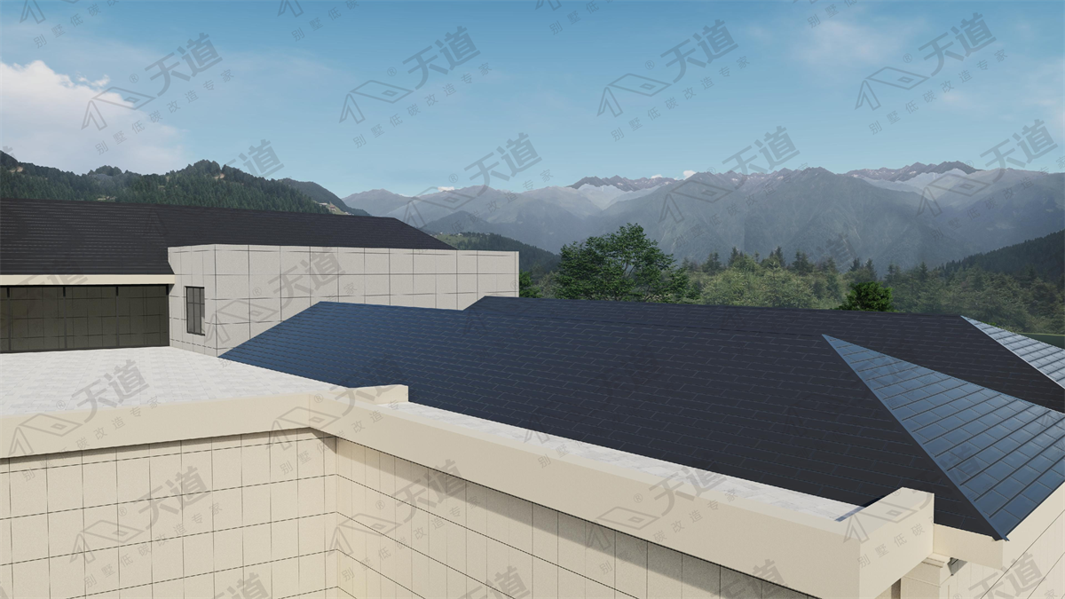 天道光伏瓦屋顶工程项目案例.png